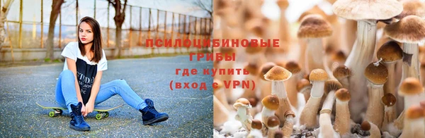 2c-b Переславль-Залесский