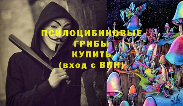 мескалин Алексин